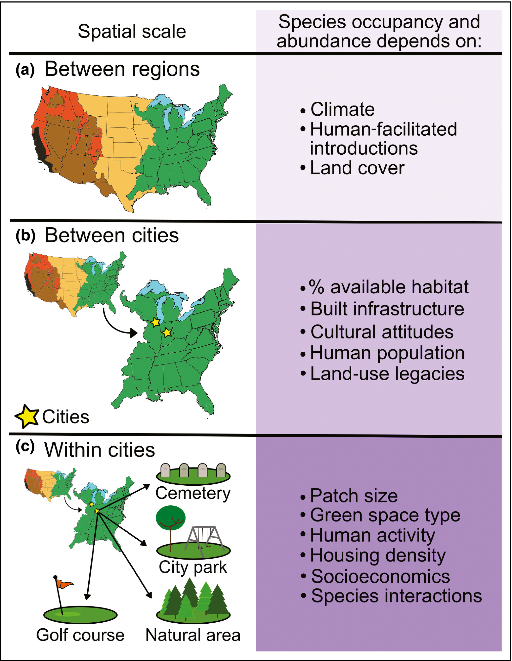 The composition of urban wildlife communities are determined by factors at varying hierarchical scales (Magle et al. 2019).